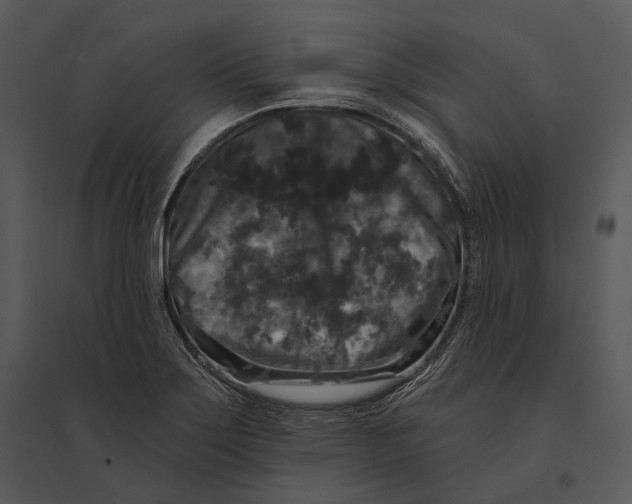 X0000095531275200801041237