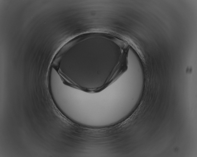 X0000095531276200801041237