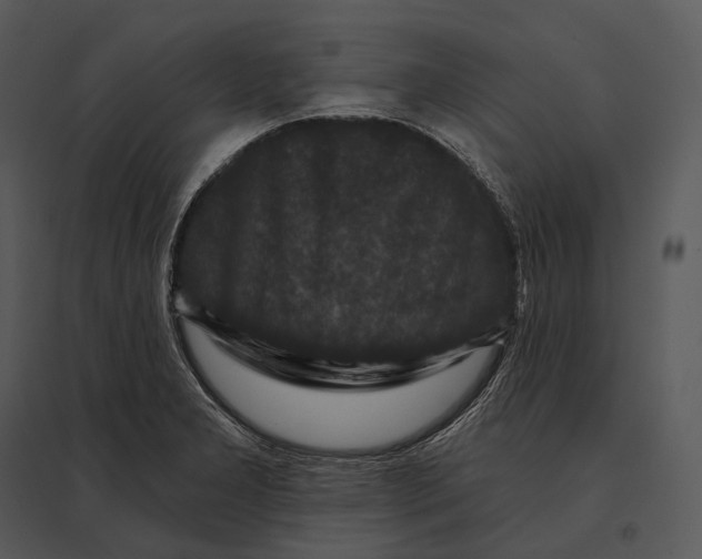 X0000095531277200801041237