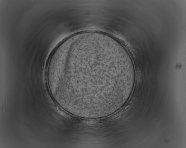 X0000095531278200801041237