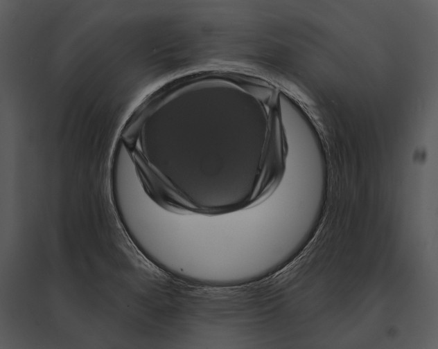 X0000095531280200801041237