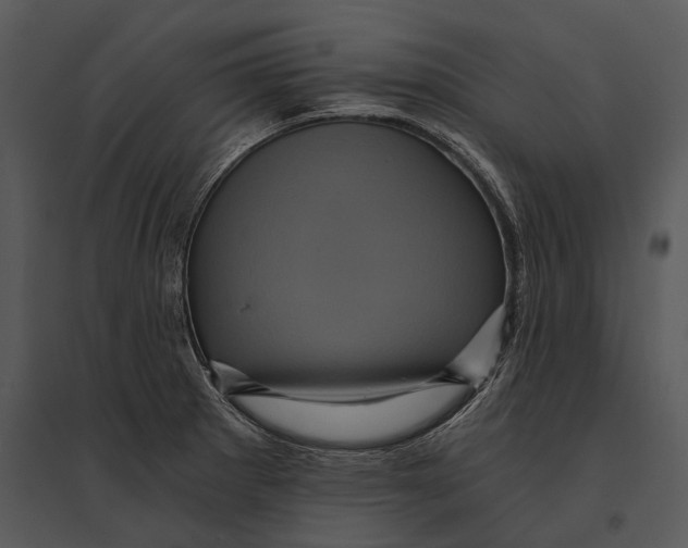 X0000095531281200801041237