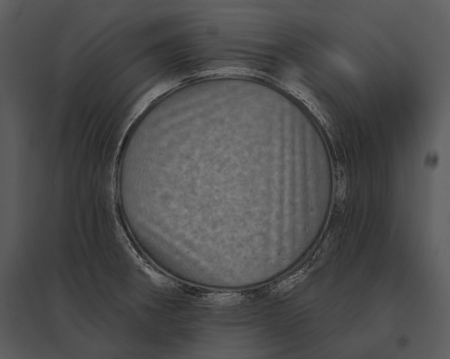 X0000095531282200801041237