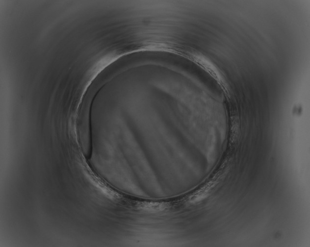 X0000095531284200801041237