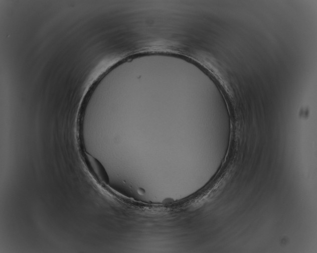 X0000095531285200801041237