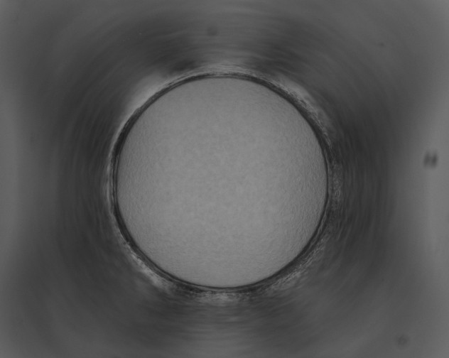 X0000095531286200801041237