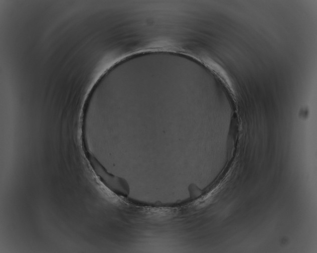 X0000095531288200801041237