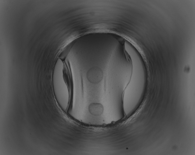 X0000095531289200801041237