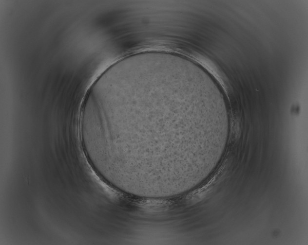 X0000095531290200801041237