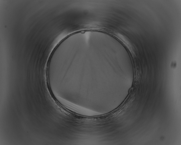 X0000095531291200801041237