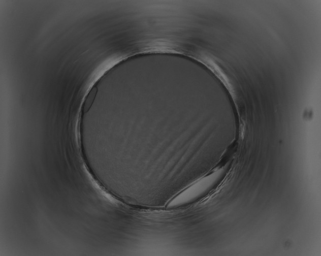 X0000095531293200801041237