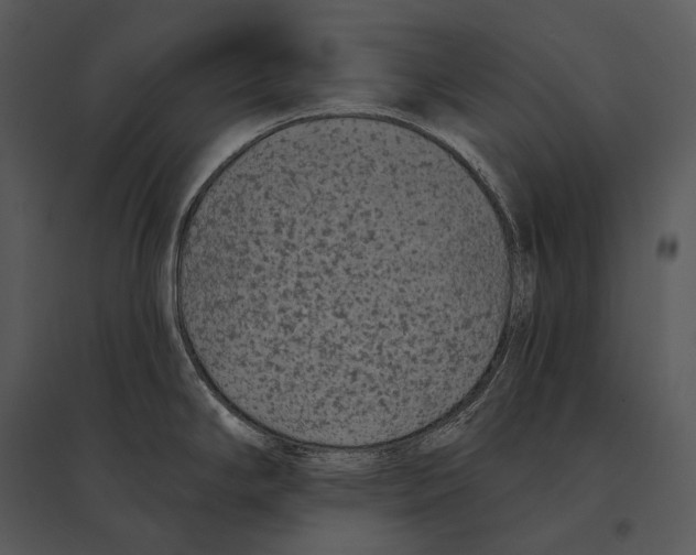 X0000095531294200801041237