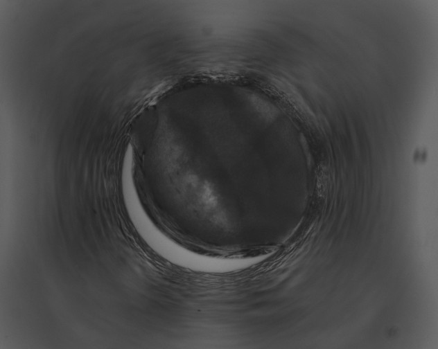 X0000095531298200801041236