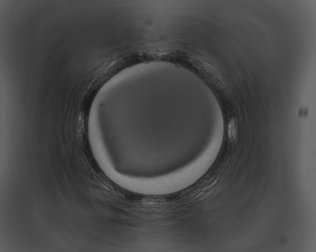 X0000095531299200801041236