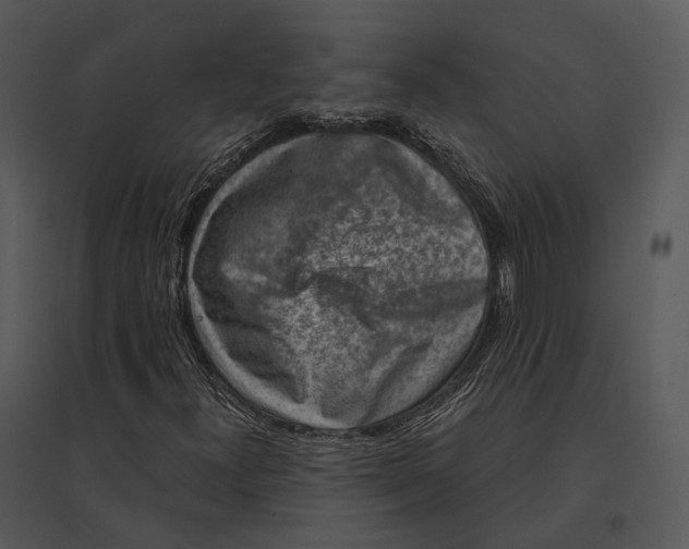 X0000095531300200801041236