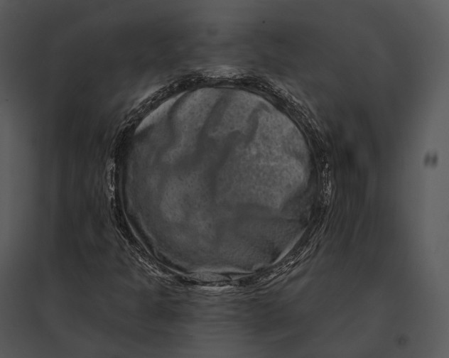 X0000095531301200801041236