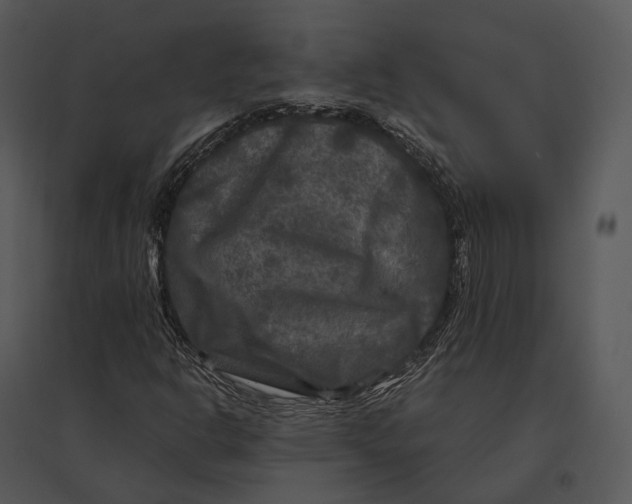 X0000095531302200801041236