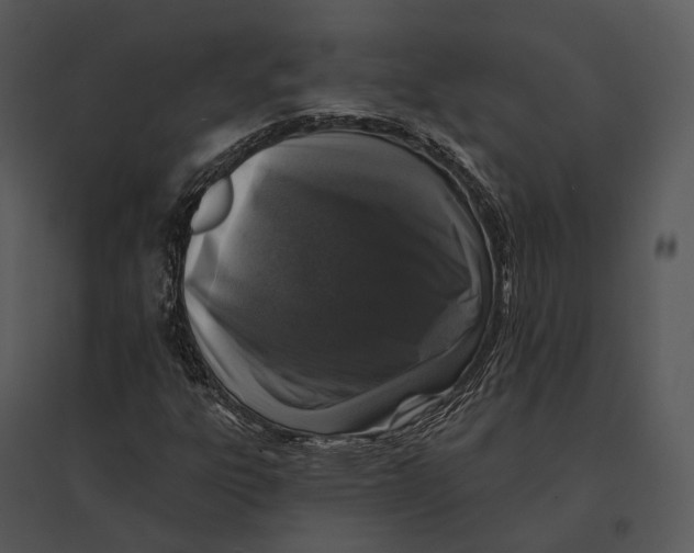 X0000095531303200801041236