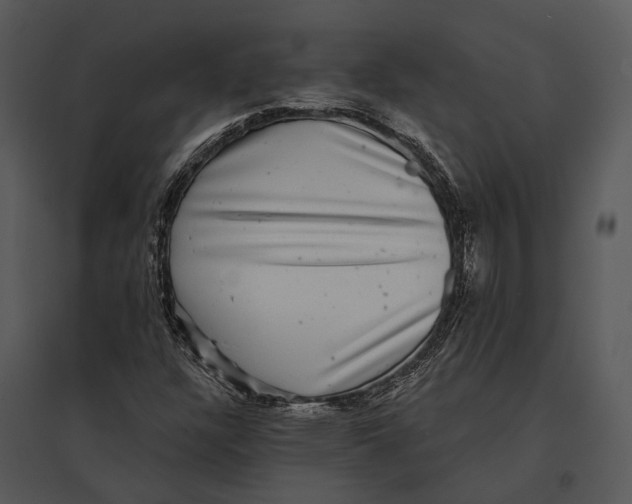 X0000095531304200801041236