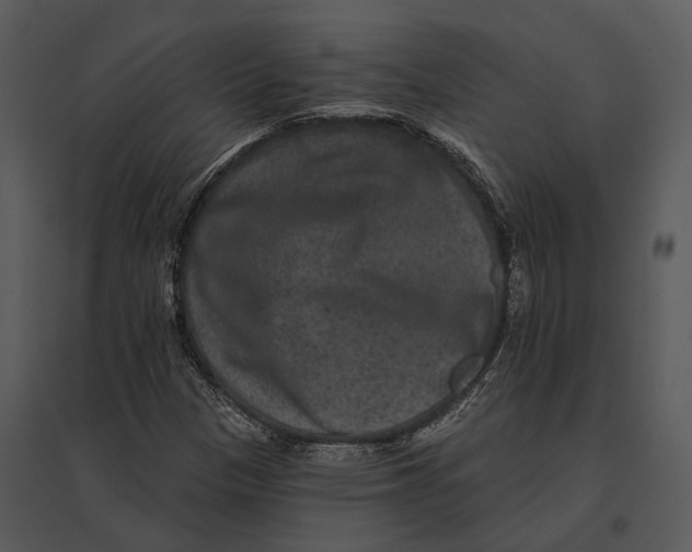 X0000095531305200801041236