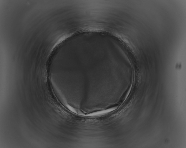 X0000095531306200801041236