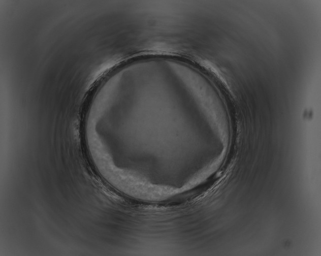 X0000095531307200801041236