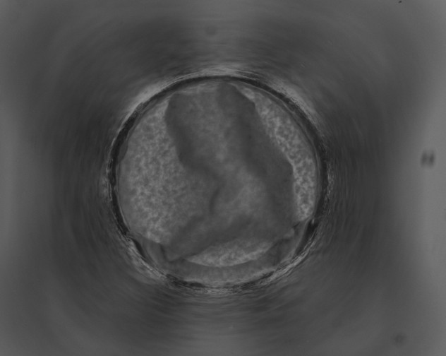 X0000095531308200801041236