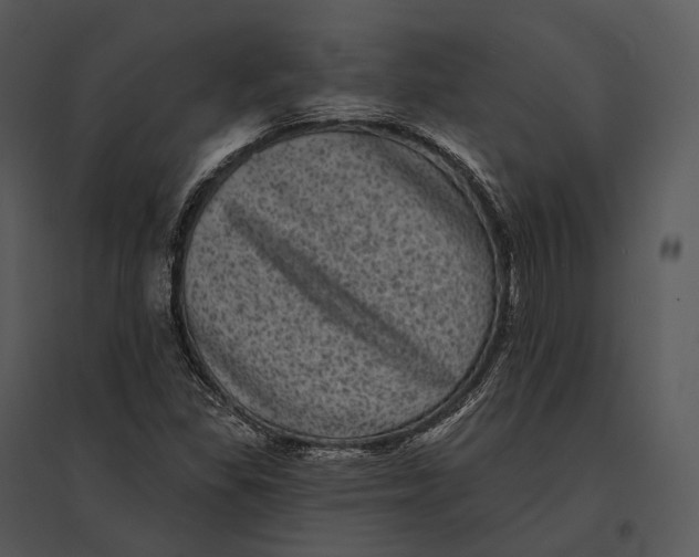 X0000095531309200801041237