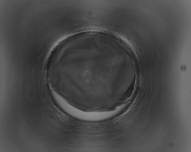 X0000095531310200801041237