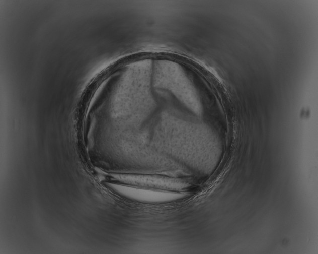 X0000095531311200801041237