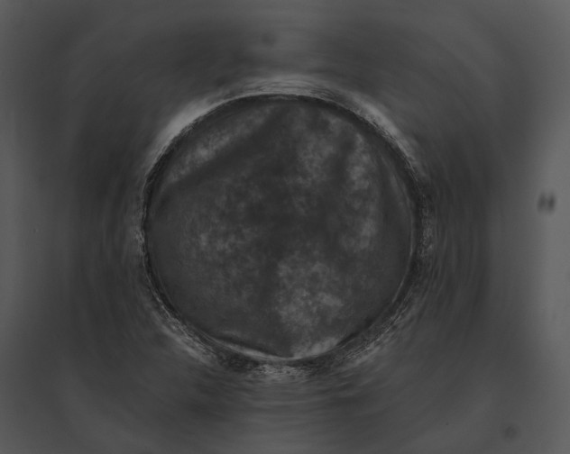 X0000095531312200801041237