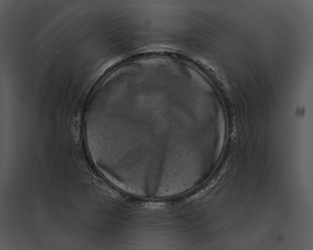 X0000095531313200801041237