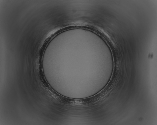 X0000095531315200801041237