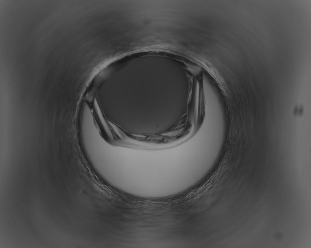 X0000095531316200801041237