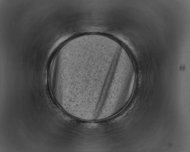 X0000095531317200801041237