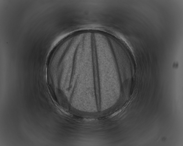 X0000095531320200801041237