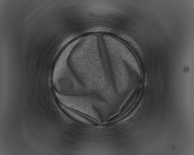 X0000095531321200801041237