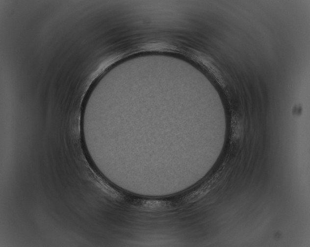 X0000095531322200801041237