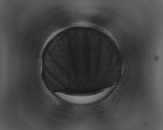 X0000095531323200801041237