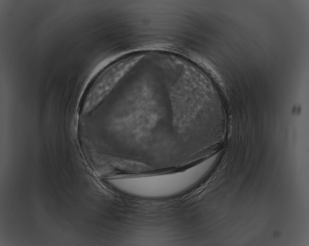 X0000095531324200801041237