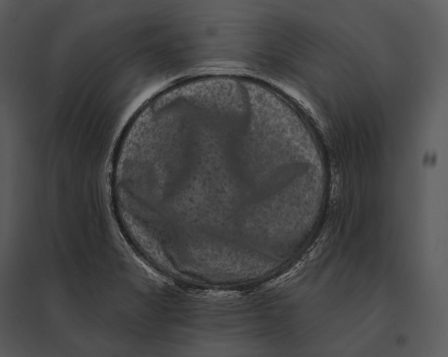 X0000095531325200801041237