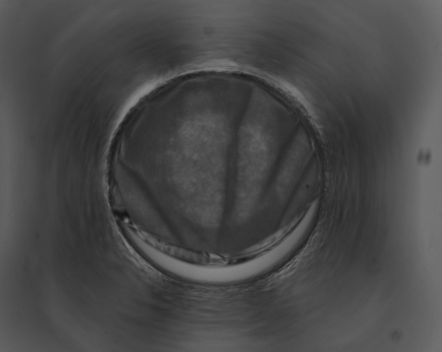 X0000095531326200801041237