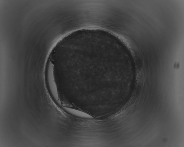 X0000095531327200801041237