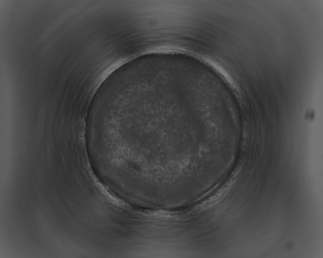 X0000095531329200801041237