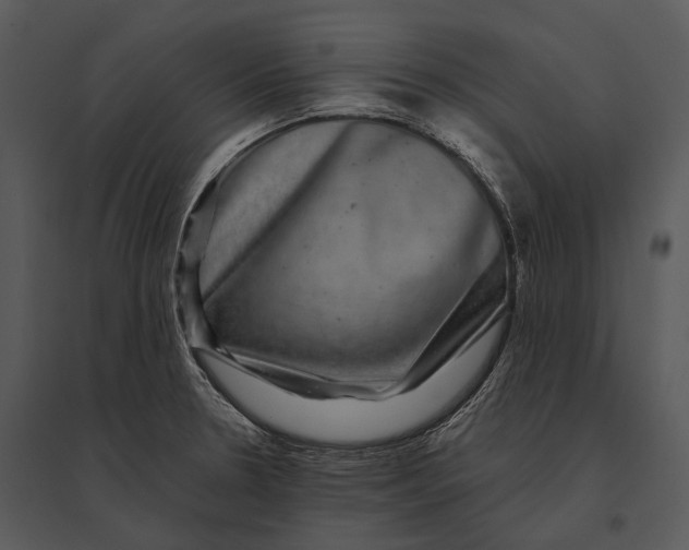 X0000095531330200801041237