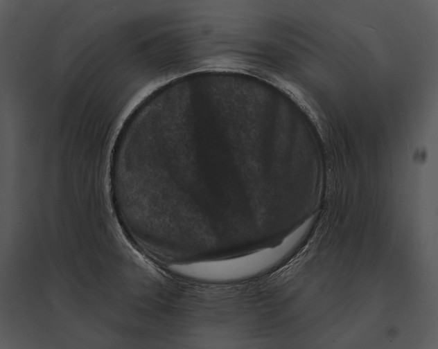 X0000095531331200801041237