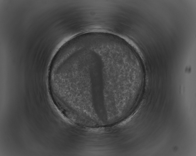 X0000095531333200801041237