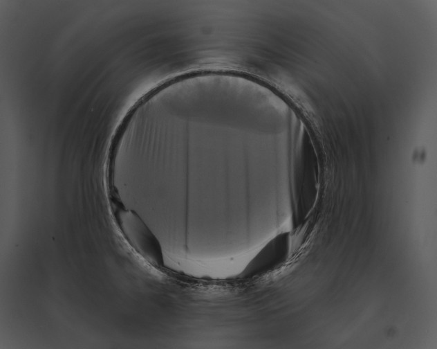 X0000095531334200801041237