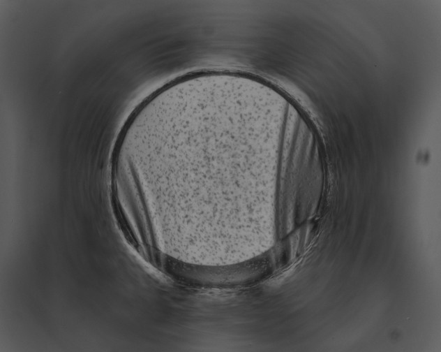 X0000095531335200801041237