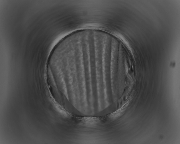 X0000095531336200801041237